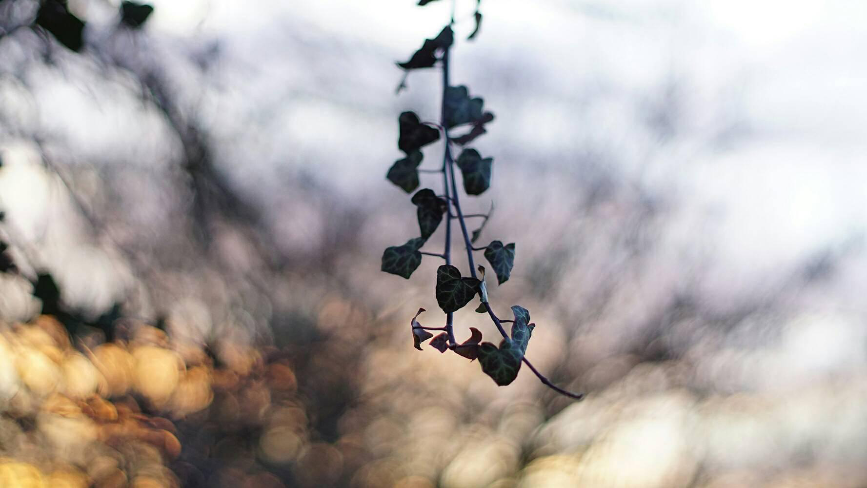 Helios 58 2.0 mounted on Sony a6000