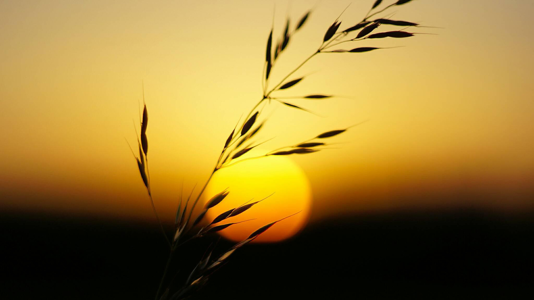 Helios 58 2.0 mounted on Sony a6000