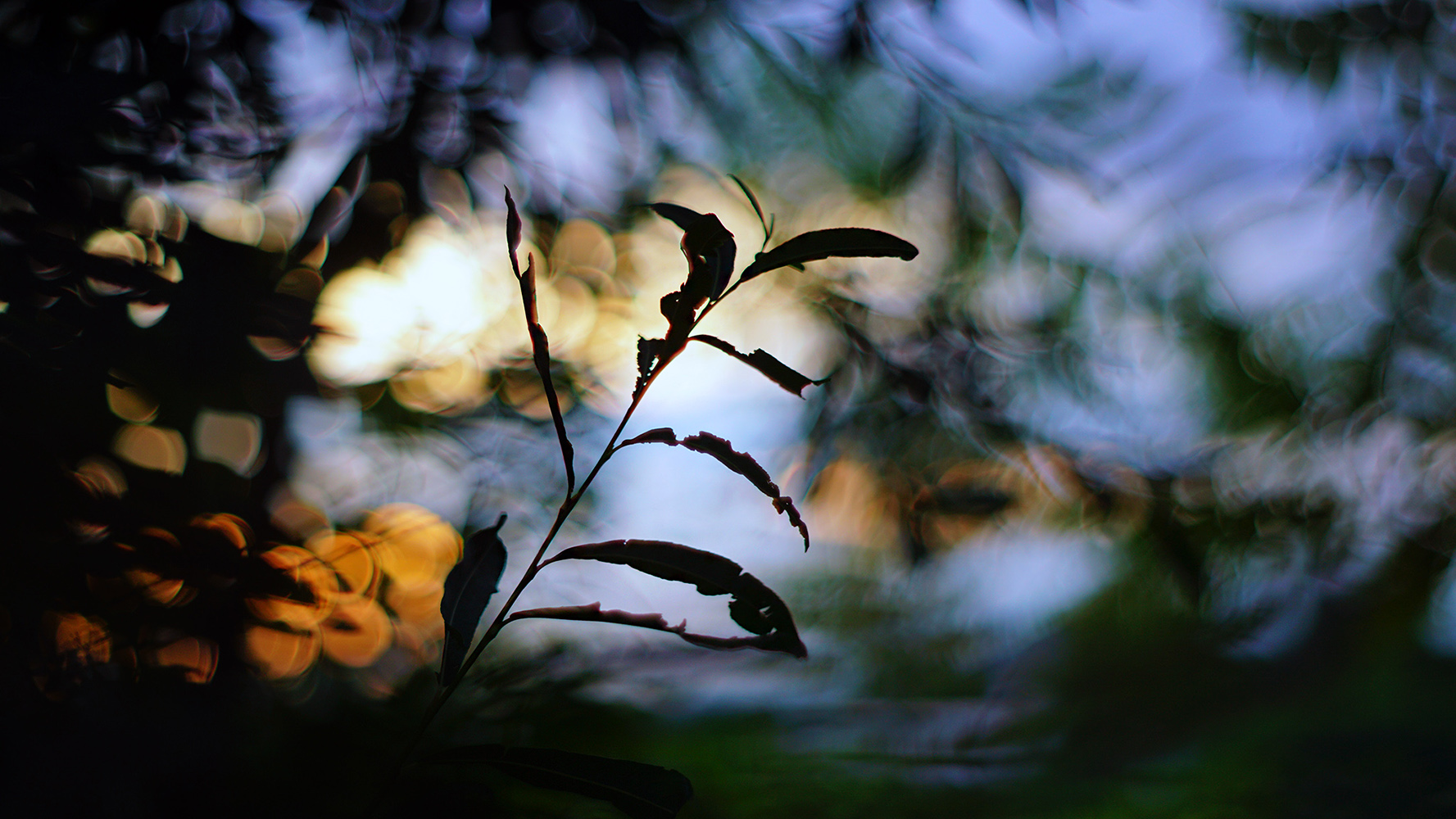 Helios 58 2.0 mounted on Sony a6000