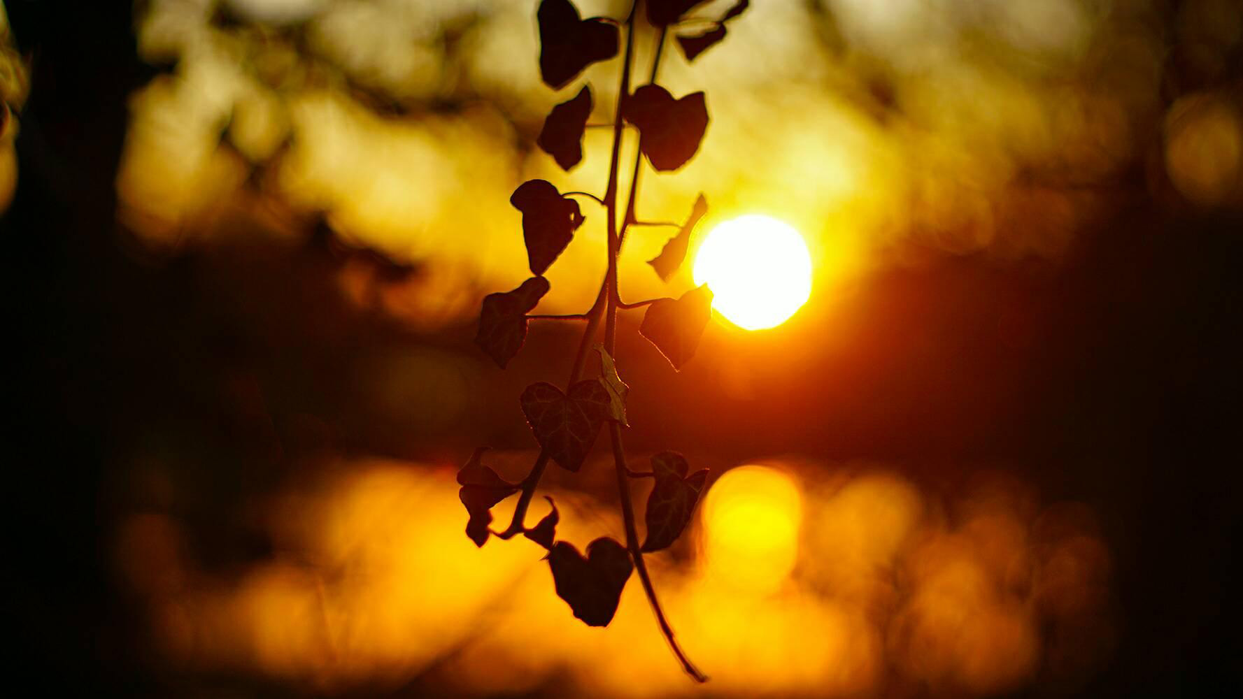 Helios 58 2.0 mounted on Sony a6000