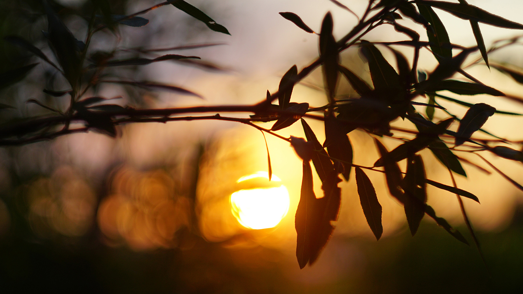 Helios 58 2.0 mounted on Sony a6000