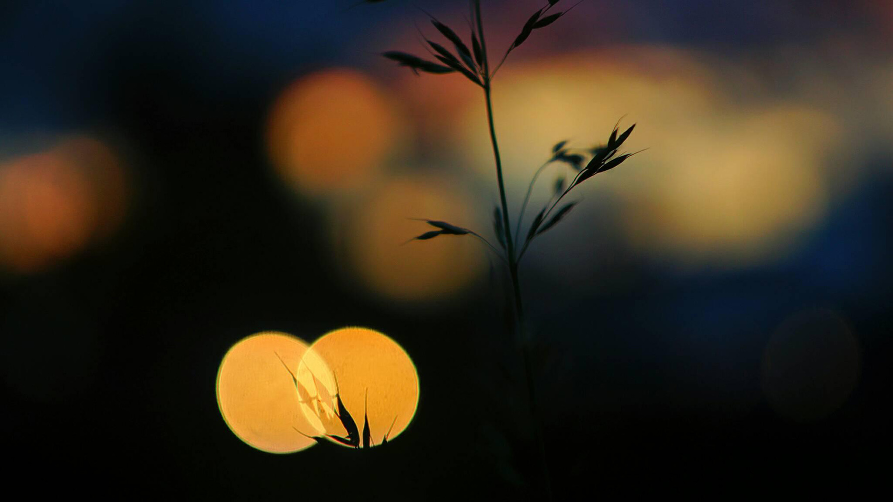 Helios 58 2.0 mounted on Sony a6000