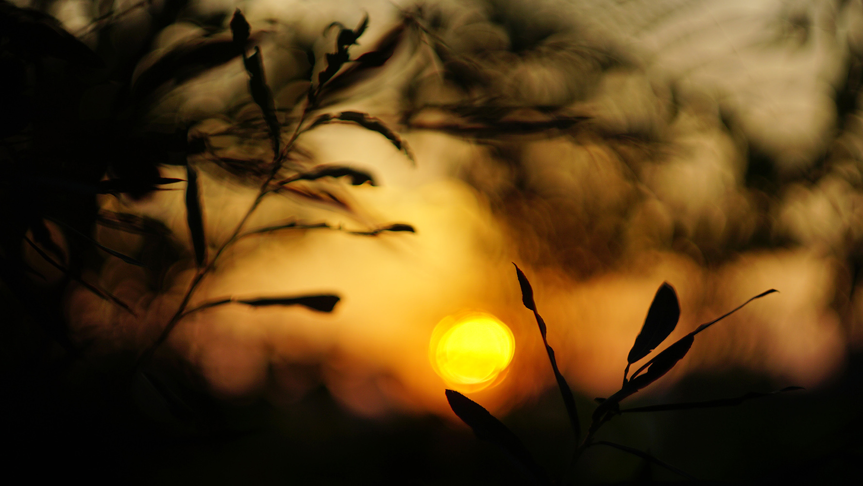 Helios 58 2.0 mounted on Sony a6000